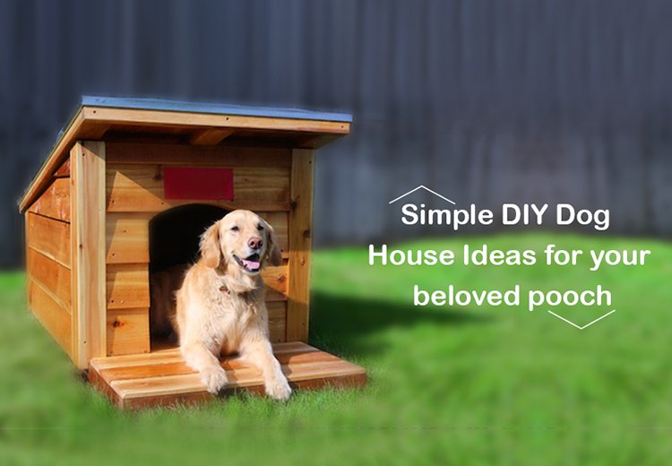 DIY Dog House Ideas for your beloved pooch